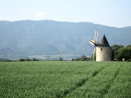 Sur un chemin reliant la Tour d'Aigues à Ansouis, un magnifique moulin sur fond de Luberon  dévoile ses ailes...